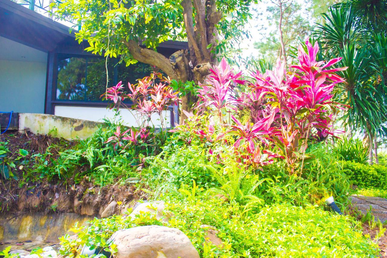 Bird Land Resort Khao Kho Bagian luar foto