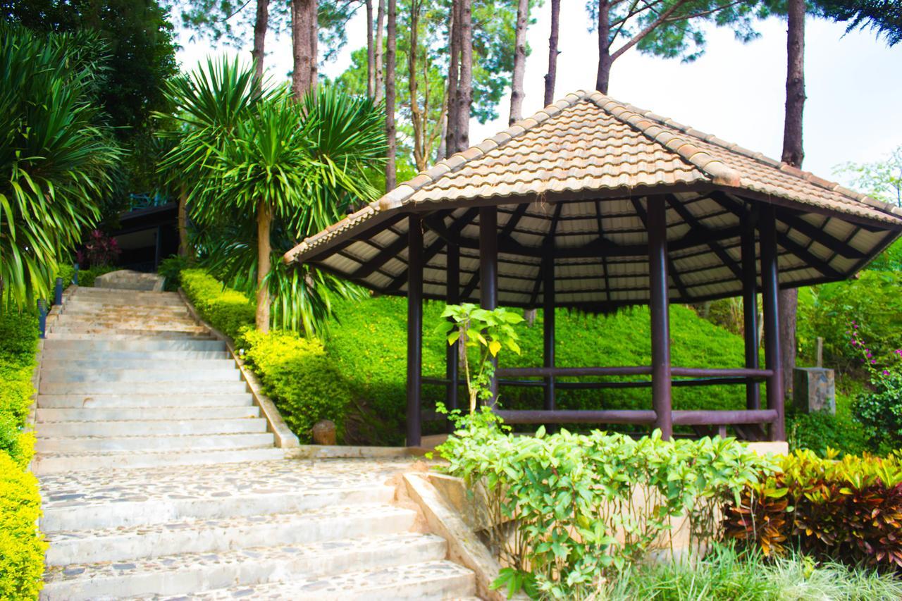 Bird Land Resort Khao Kho Bagian luar foto