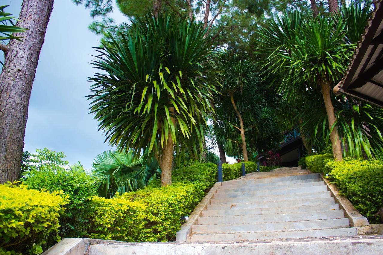Bird Land Resort Khao Kho Bagian luar foto