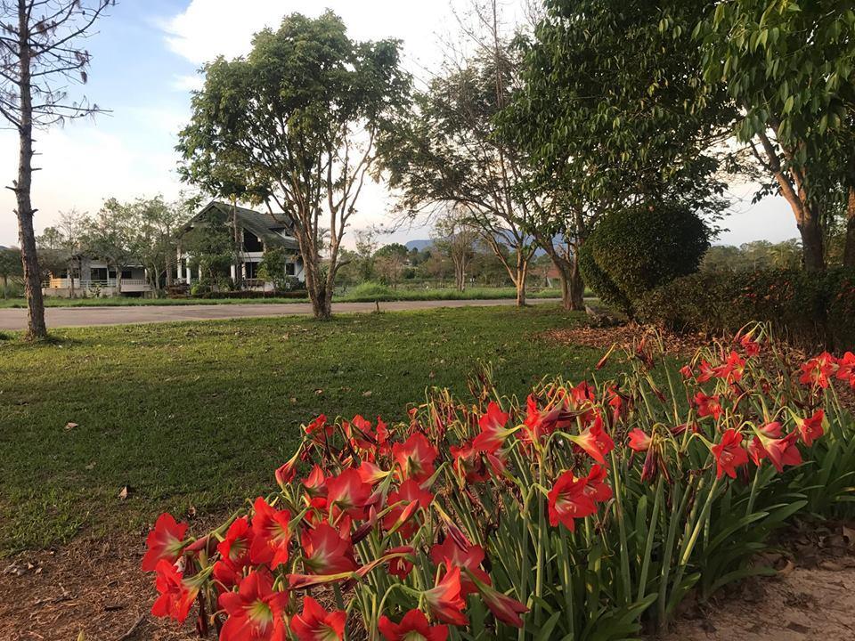 Bird Land Resort Khao Kho Bagian luar foto