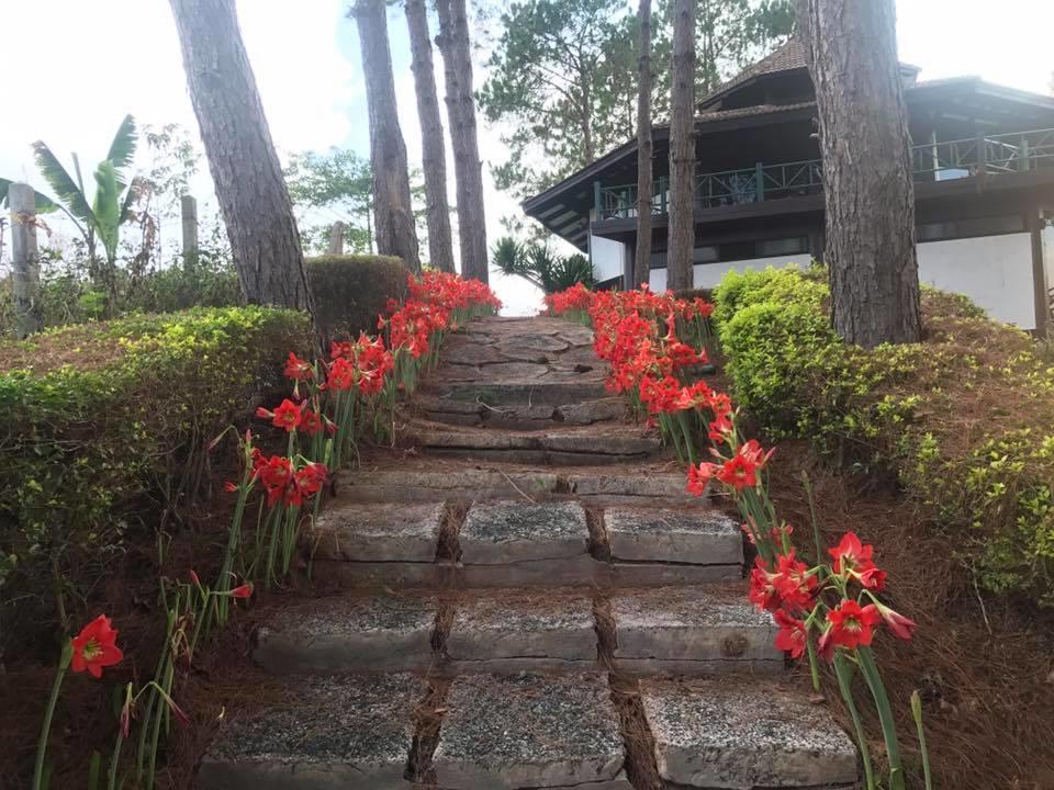 Bird Land Resort Khao Kho Bagian luar foto