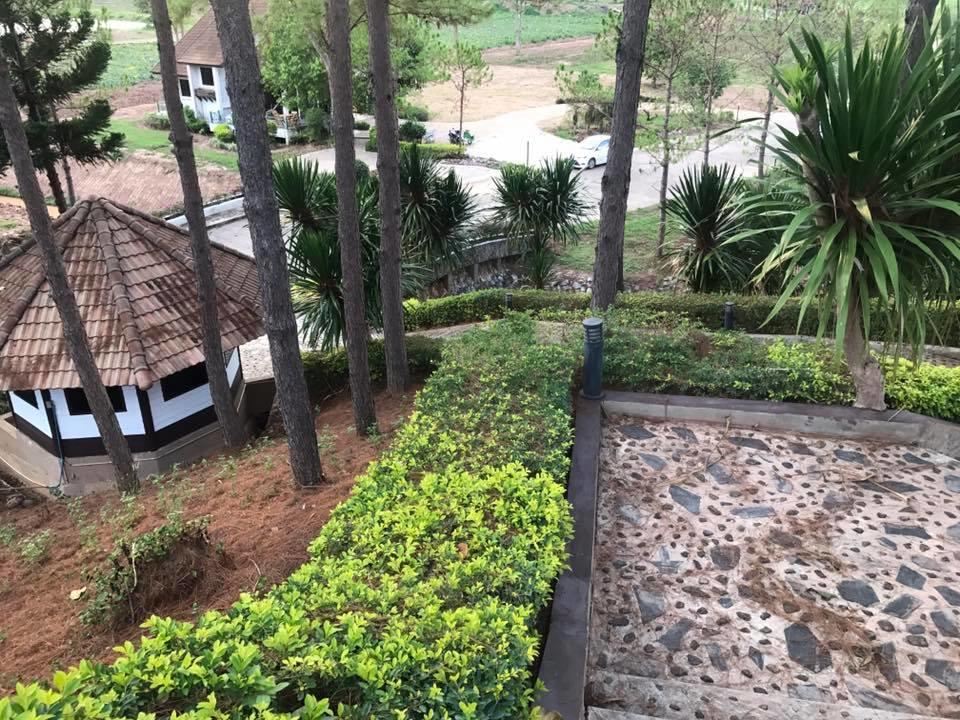 Bird Land Resort Khao Kho Bagian luar foto